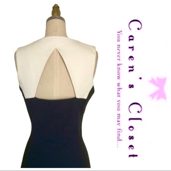 Banana Republic Color Block Sleeveless Dress - Picture 7 of 7